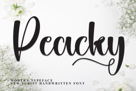 Peacky: The Handwritten Script Font for Modern Web Design