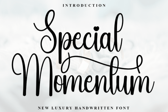 Special Momentum Typeface Review: A Soft Script for Digital Branding