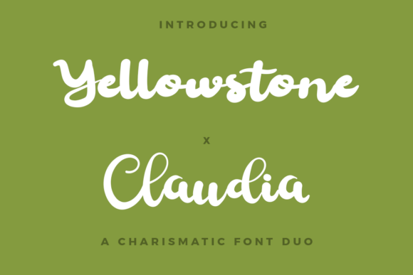 Yellowstone X Claudia Duo: A Designer’s Honest Review